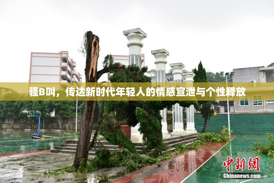 骚B叫，传达新时代年轻人的情感宣泄与个性释放
