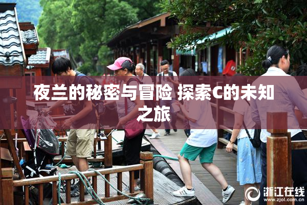 夜兰的秘密与冒险 探索C的未知之旅
