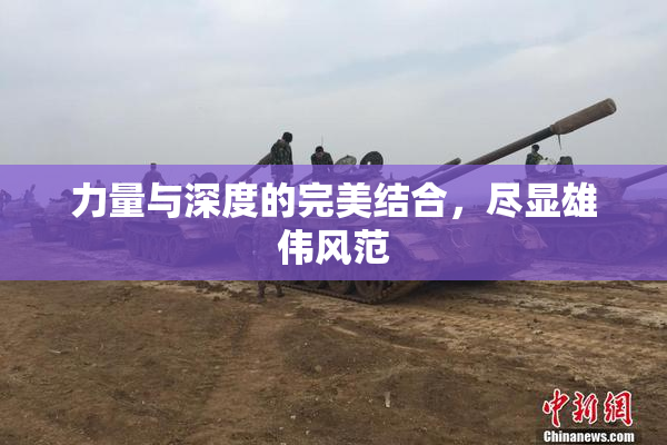 力量与深度的完美结合，尽显雄伟风范