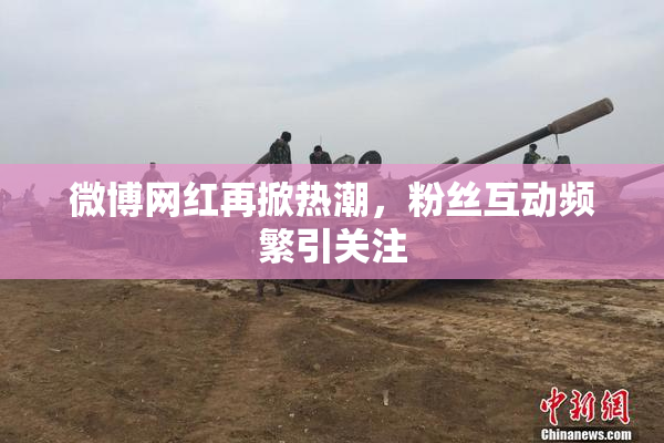 微博网红再掀热潮，粉丝互动频繁引关注