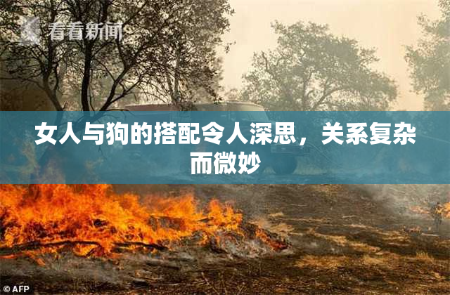 女人与狗的搭配令人深思，关系复杂而微妙
