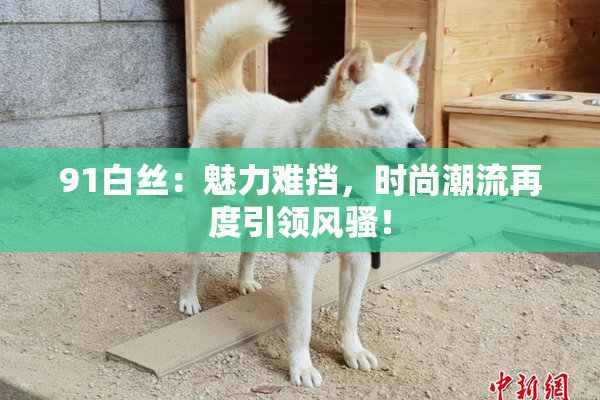 91白丝：魅力难挡，时尚潮流再度引领风骚！