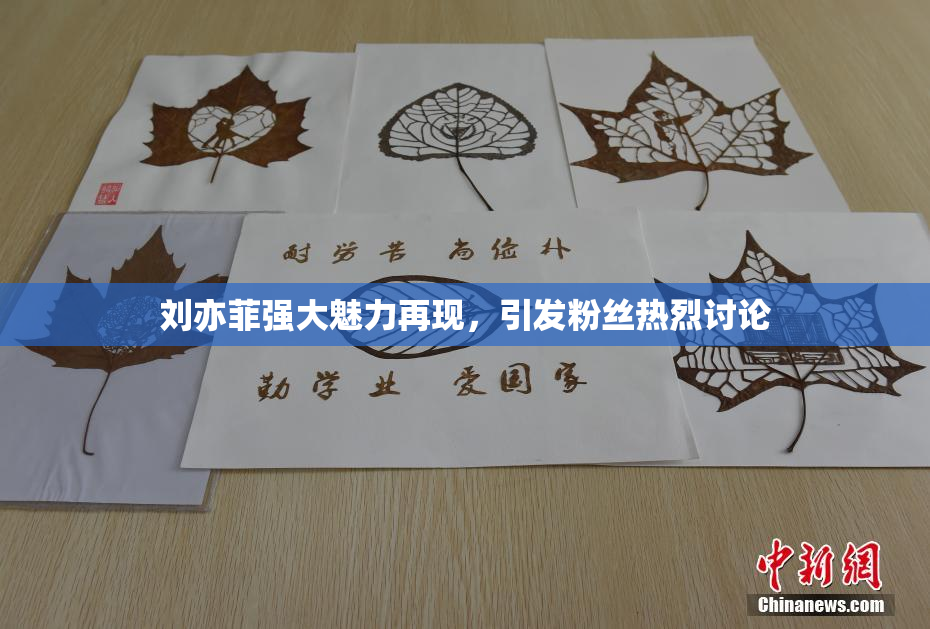 刘亦菲强大魅力再现，引发粉丝热烈讨论