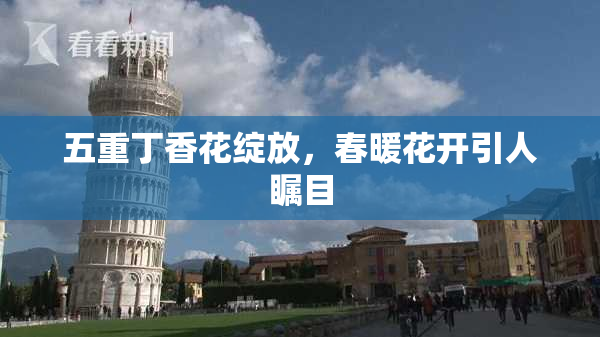 五重丁香花绽放，春暖花开引人瞩目