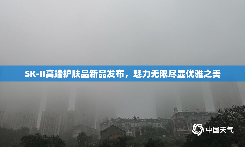 SK-II高端护肤品新品发布，魅力无限尽显优雅之美