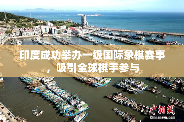 印度成功举办一级国际象棋赛事，吸引全球棋手参与
