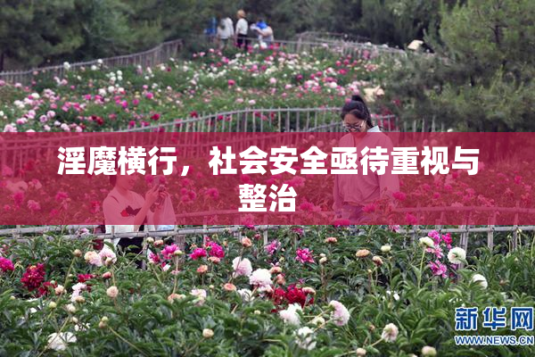 淫魔横行，社会安全亟待重视与整治