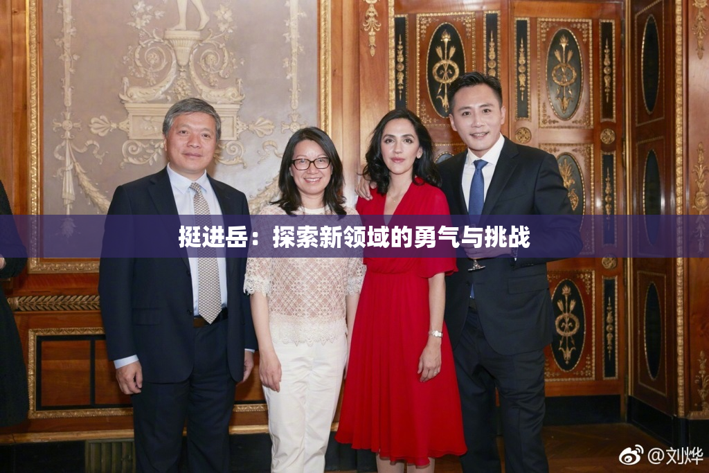 挺进岳：探索新领域的勇气与挑战