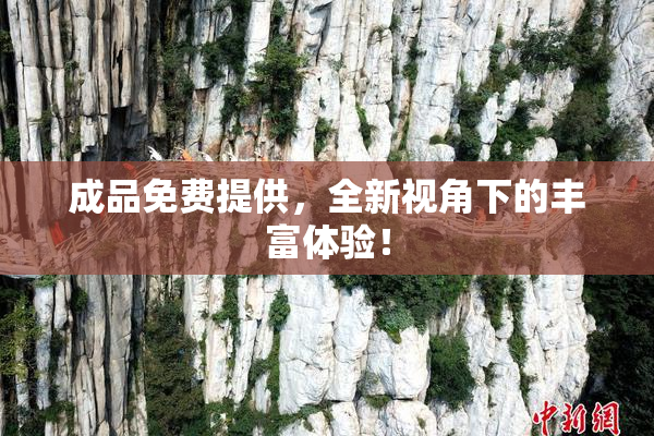 成品免费提供，全新视角下的丰富体验！