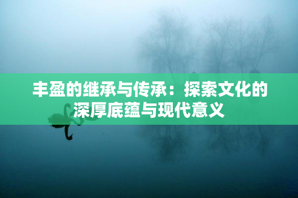 丰盈的继承与传承：探索文化的深厚底蕴与现代意义
