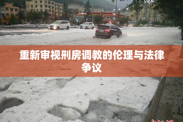 重新审视刑房调教的伦理与法律争议