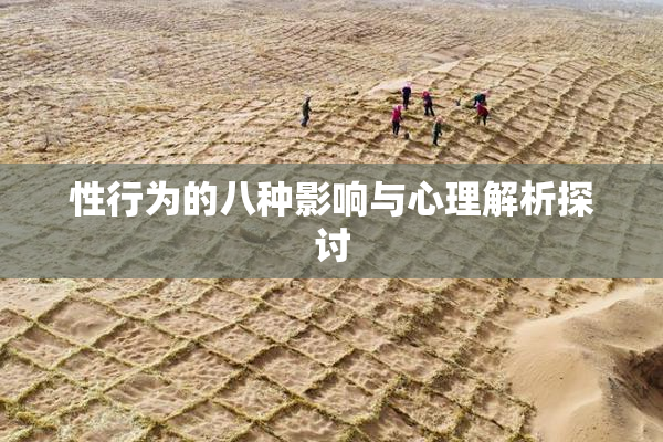 性行为的八种影响与心理解析探讨
