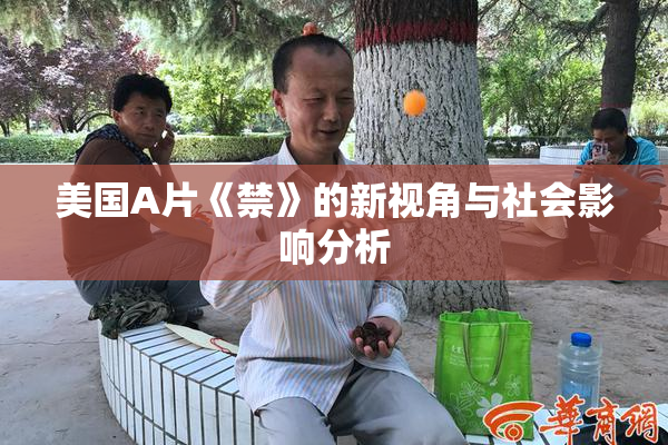 美国A片《禁》的新视角与社会影响分析