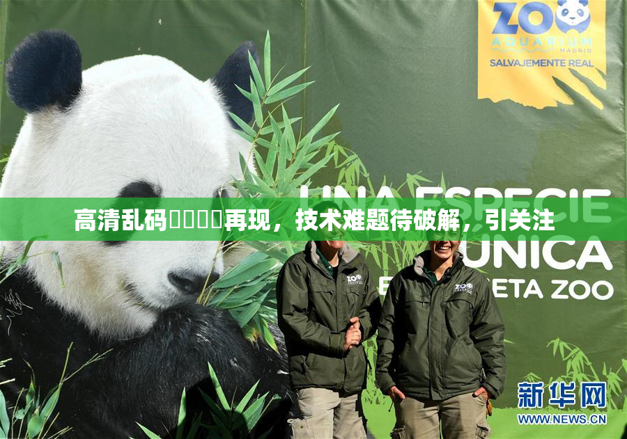 高清乱码❌‌❌‌再现，技术难题待破解，引关注