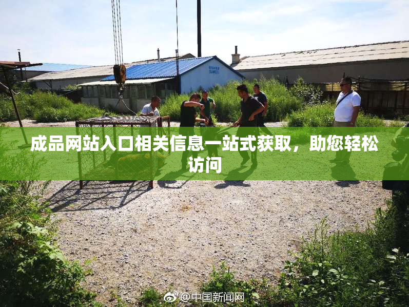 成品网站入口相关信息一站式获取，助您轻松访问