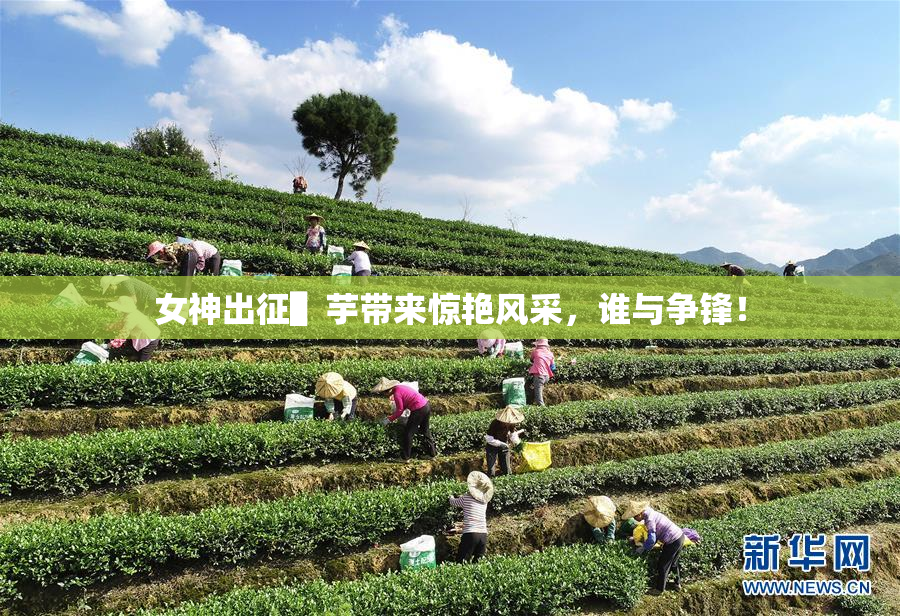 女神出征▌芋带来惊艳风采，谁与争锋！