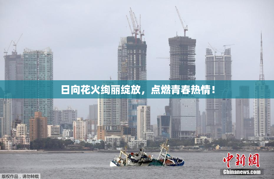 日向花火绚丽绽放，点燃青春热情！