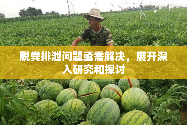 脱粪排泄问题亟需解决，展开深入研究和探讨