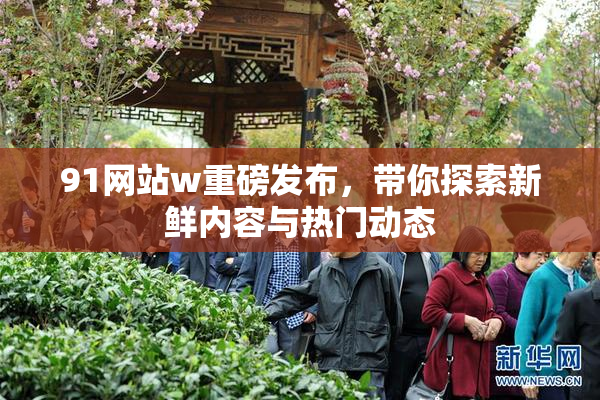 91网站w重磅发布，带你探索新鲜内容与热门动态