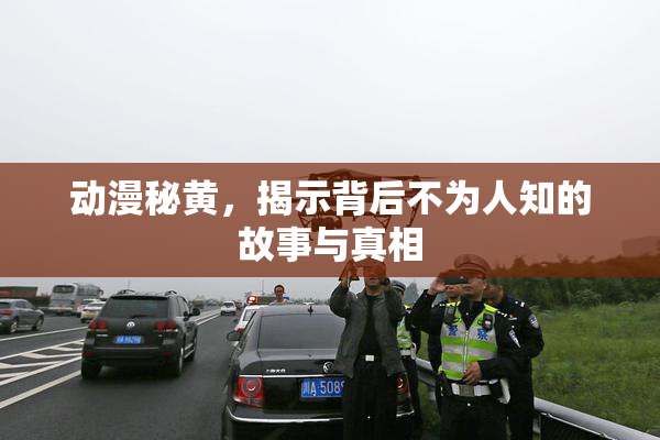 动漫秘黄，揭示背后不为人知的故事与真相