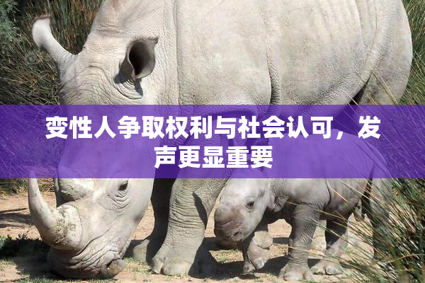 变性人争取权利与社会认可，发声更显重要