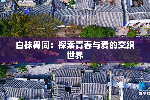 白袜男同：探索青春与爱的交织世界