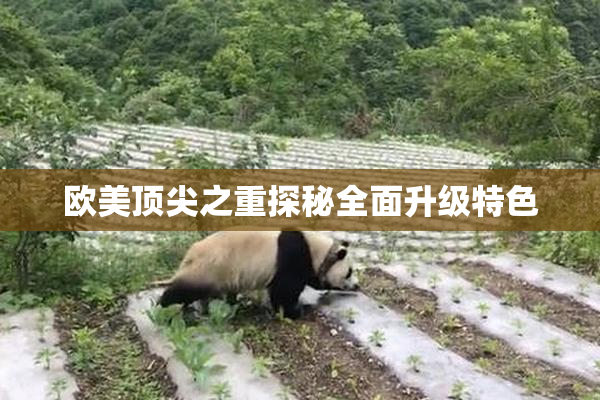 欧美顶尖之重探秘全面升级特色