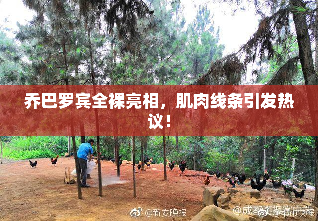 乔巴罗宾全裸亮相，肌肉线条引发热议！
