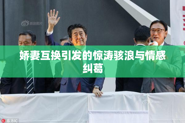 娇妻互换引发的惊涛骇浪与情感纠葛