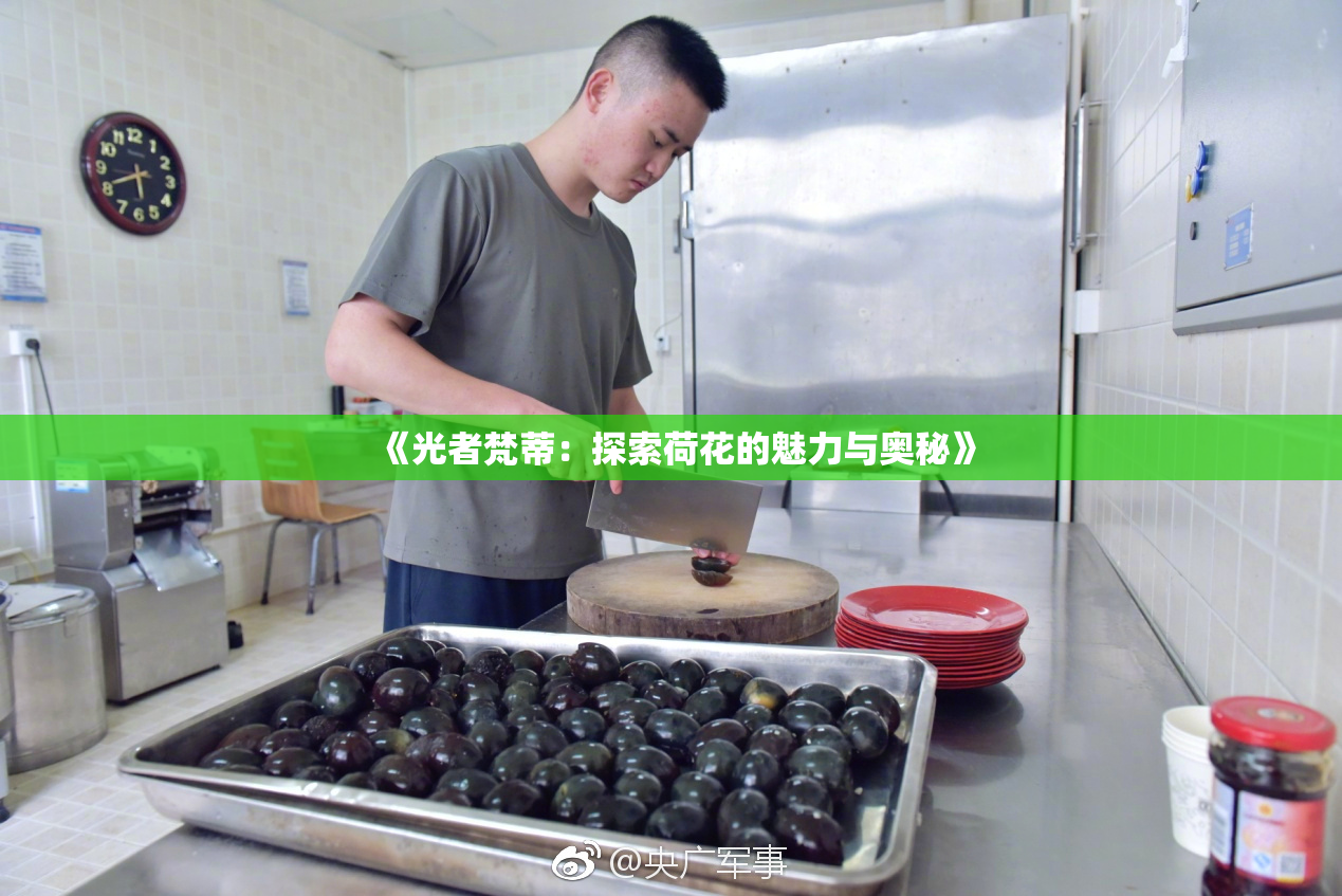 《光者梵蒂：探索荷花的魅力与奥秘》