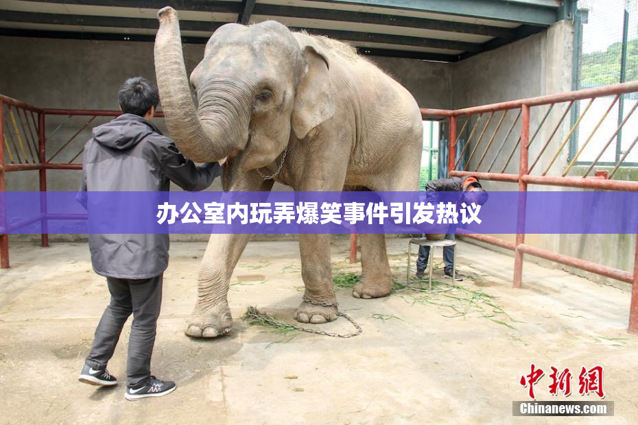 办公室内玩弄爆笑事件引发热议