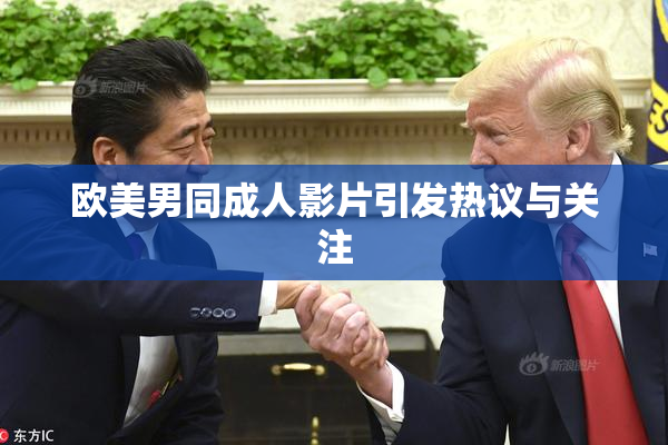 欧美男同成人影片引发热议与关注