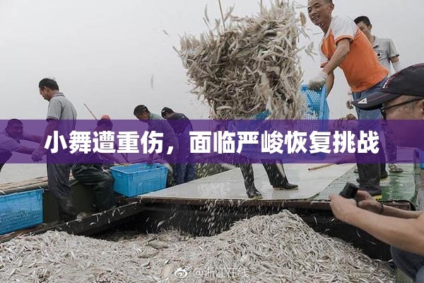 小舞遭重伤，面临严峻恢复挑战