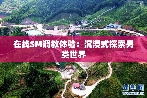 在线SM调教体验：沉浸式探索另类世界