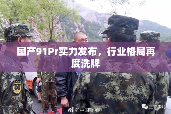国产91Pr实力发布，行业格局再度洗牌