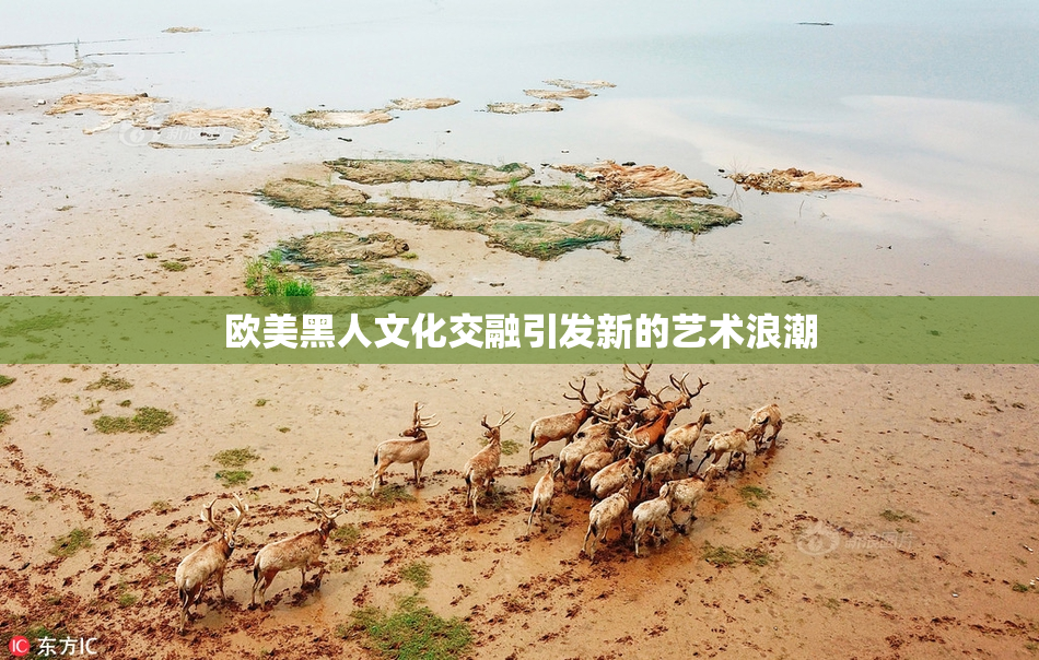 欧美黑人文化交融引发新的艺术浪潮
