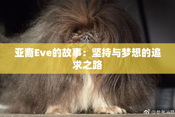 亚裔Eve的故事：坚持与梦想的追求之路