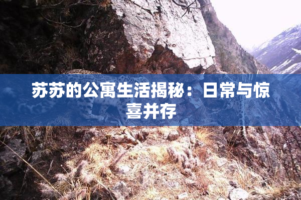 苏苏的公寓生活揭秘：日常与惊喜并存