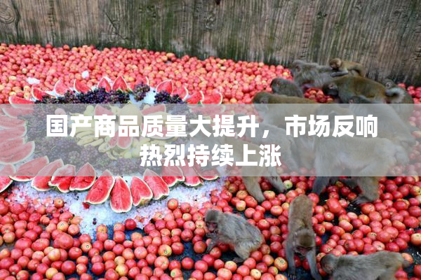国产商品质量大提升，市场反响热烈持续上涨