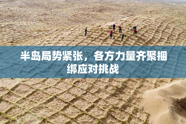 半岛局势紧张，各方力量齐聚捆绑应对挑战