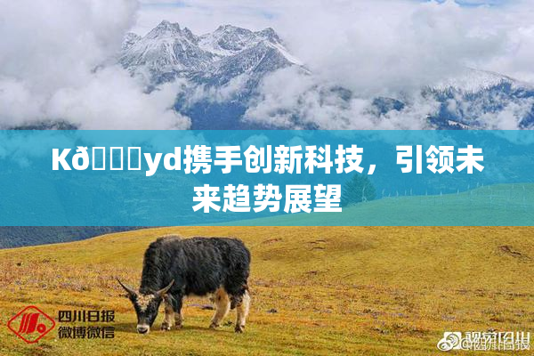 K🈚yd携手创新科技，引领未来趋势展望