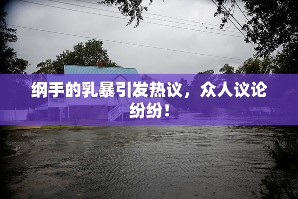 纲手的乳暴引发热议，众人议论纷纷！