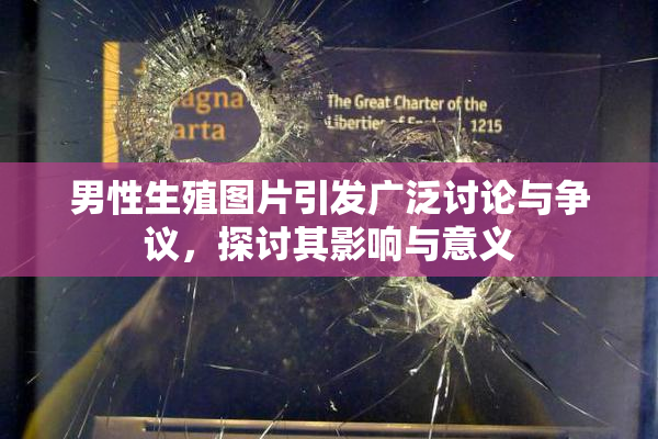 男性生殖图片引发广泛讨论与争议，探讨其影响与意义