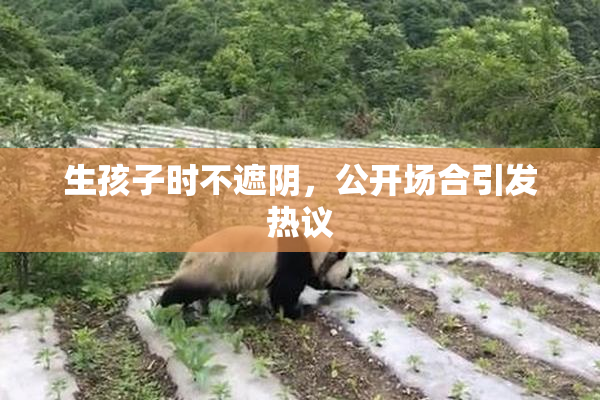 生孩子时不遮阴，公开场合引发热议