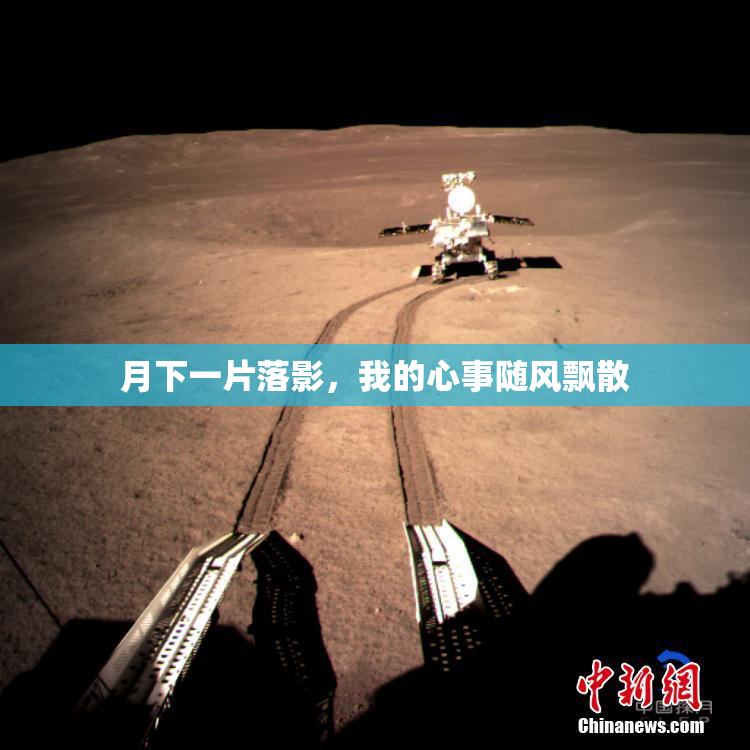 月下一片落影，我的心事随风飘散