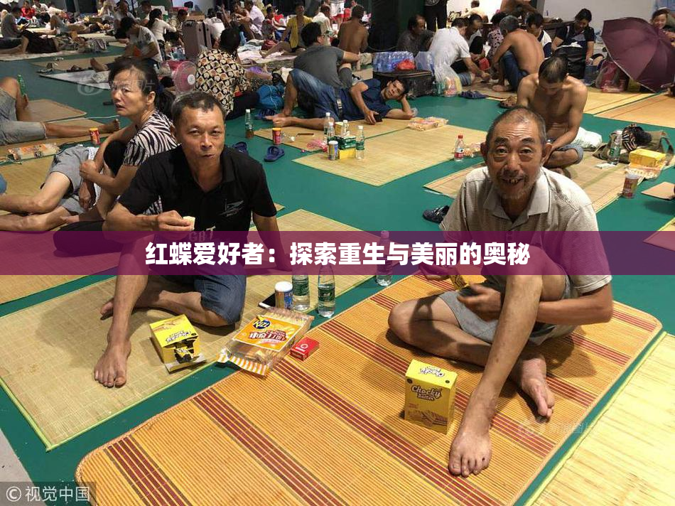 红蝶爱好者：探索重生与美丽的奥秘