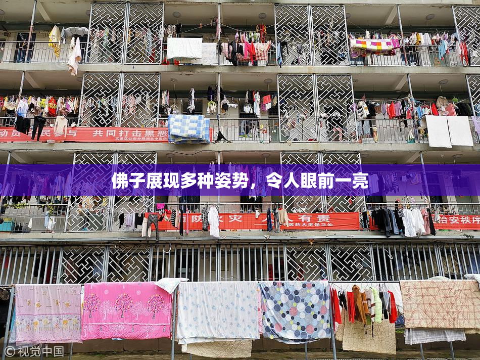 佛子展现多种姿势，令人眼前一亮