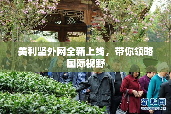 美利坚外网全新上线，带你领略国际视野