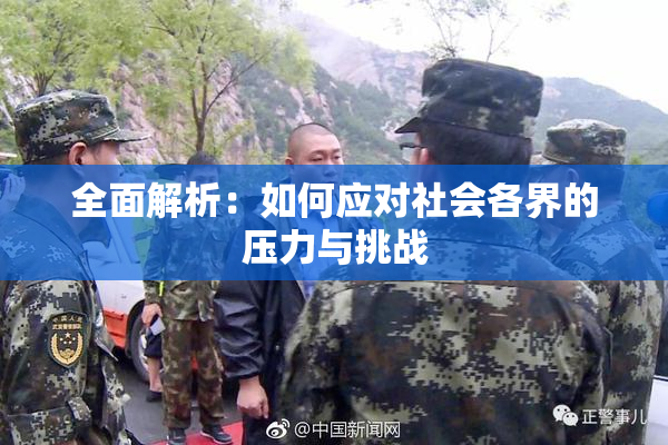 全面解析：如何应对社会各界的压力与挑战