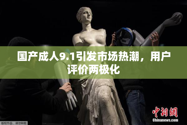 国产成人9.1引发市场热潮，用户评价两极化
